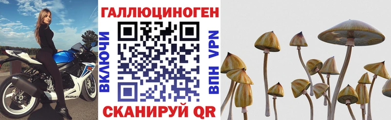 Псилоцибиновые грибы MAGIC MUSHROOMS  Купить где  Перевоз 